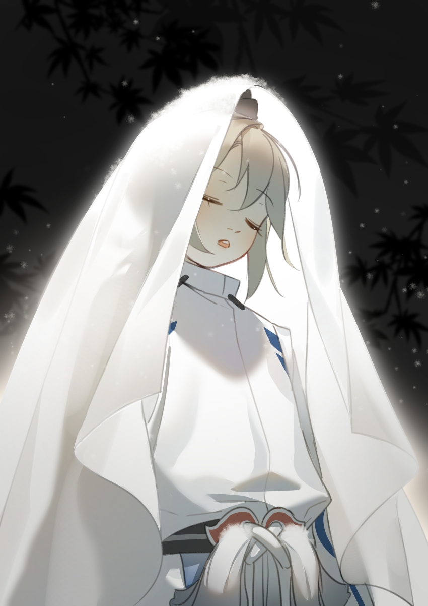 1boy, absurdres, closed_eyes, eyelashes, grey_hair, hat, highres, japanese_clothes, kariginu, long_sleeves, male_focus, night, onmyoji, ootengu_(onmyoji), open_mouth, ponytail, sash, see-through_silhouette, shishanhecaomushi, short_hair, shouu_ootengu, snow, snow_on_head, snowing, solo, upper_body, veil