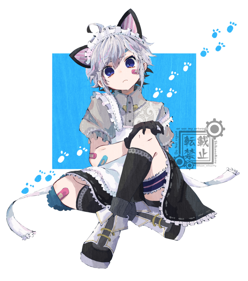 1boy, ahoge, animal_ears, bandaid, bloomminority, blue_background, blue_eyes, cat_boy, cat_ears, crossdressing, crossdressing_(mtf), fantasy, full_body, head_tilt, highres, looking_at_viewer, maid, male_focus, male_maid, multicolored_background, original, short_sleeves, sitting, solo, trap, white_background, white_hair