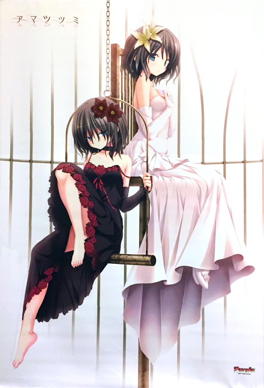 2girls, amatsutsumi, highres, koku, minazuki_hotaru_(amatsutsumi), multiple_girls, non-web_source, on_swing