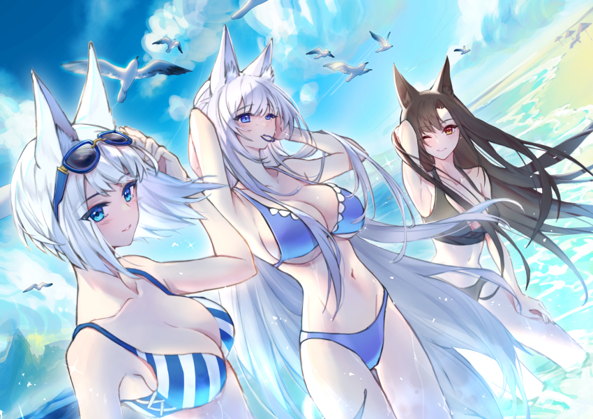3girls, absurdres, akagi_(azur_lane), animal_ears, azur_lane, beach, bikini, bird, black_one-piece_swimsuit, blue_eyes, blue_one-piece_swimsuit, blue_sky, blush, breasts, brown_hair, chin_yu_khn, cleavage, cloud, day, fox_ears, fox_girl, goggles, goggles_on_head, highres, kaga_(azur_lane), large_breasts, looking_at_viewer, multiple_girls, navel, ocean, one-piece_swimsuit, outdoors, red_eyes, sand, seagull, shinano_(azur_lane), sky, smile, stomach, striped_bikini, striped_clothes, sunlight, swimsuit, tail, water, white_hair
