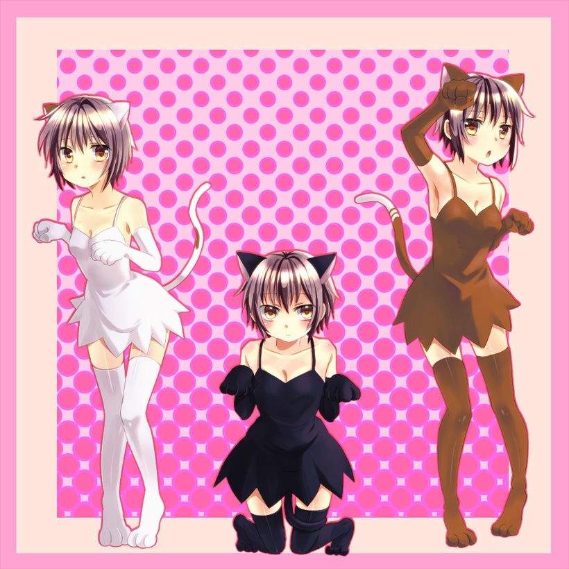 acuo, animal_ears, armpits, bad_id, bad_pixiv_id, brown_eyes, cat_ears, cat_tail