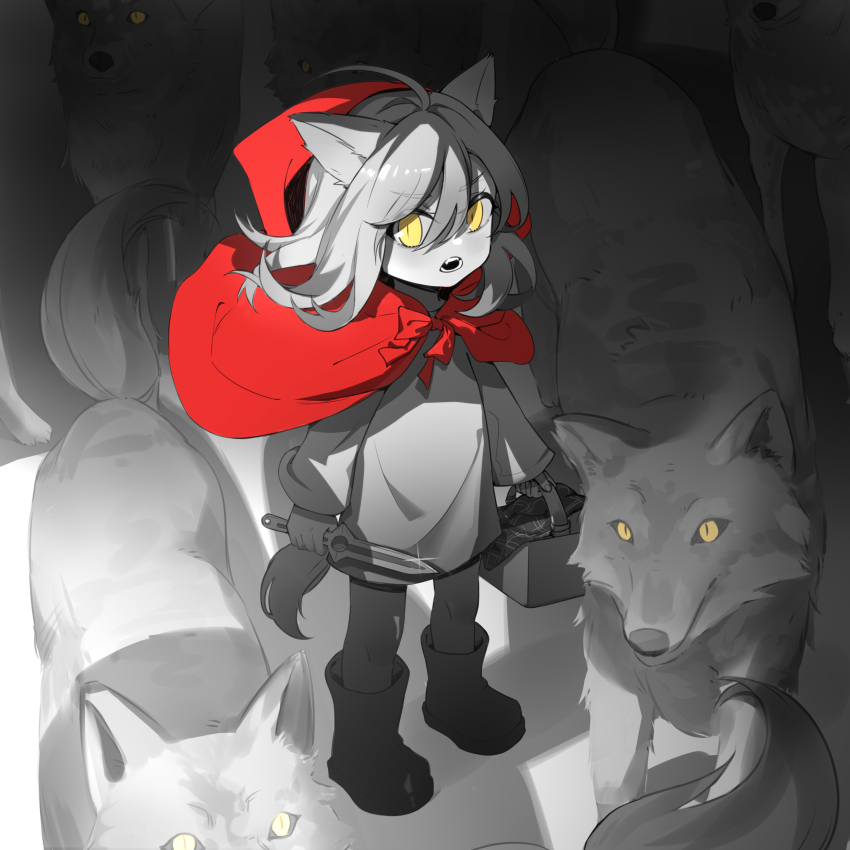 1girl, absurdres, ahoge, animal_ears, arknights, boots, cape, child, commentary, english_commentary, greyscale, hair_between_eyes, highres, holding, holding_knife, hood, hooded_cape, kiscript, knife, long_hair, long_sleeves, looking_at_viewer, mixed-language_commentary, monochrome, open_mouth, pantyhose, projekt_red_(arknights), red_cape, shirt, solo, spot_color, tail, teeth, wolf, wolf_ears, wolf_girl, wolf_tail, yellow_eyes, aged_down