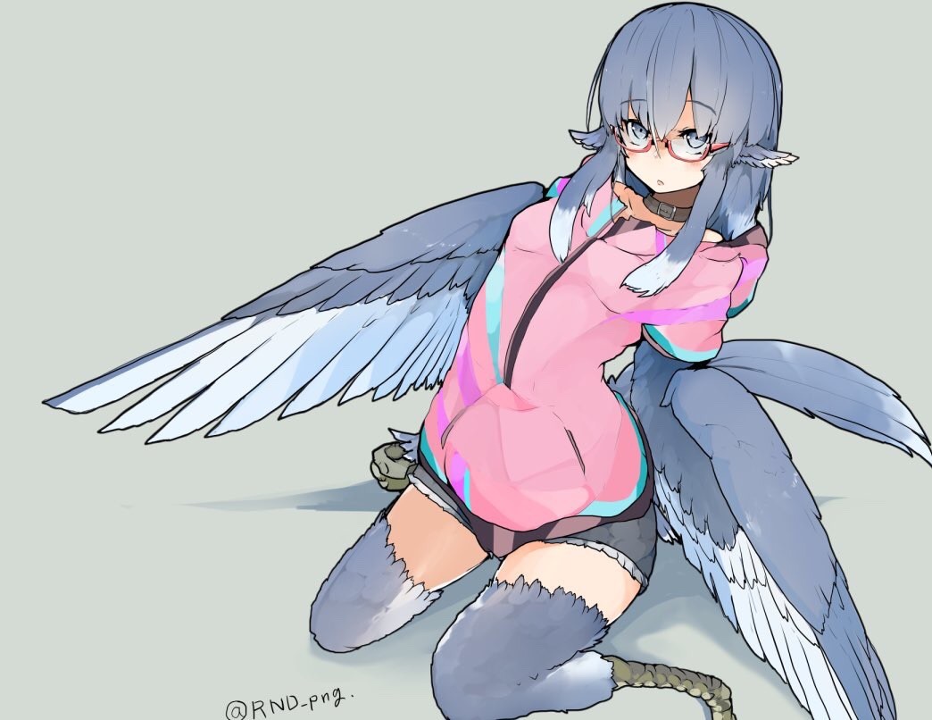 1girl, animal_ears, bird_ears, bird_legs, bird_tail, blue_feathers, blue_hair, blue_wings, choker, commentary_request, feathered_wings, feathers, grey_background, grey_eyes, hair_between_eyes, harpy, jacket, kneeling, long_hair, miura_(rnd.jpg), monster_girl, open_mouth, original, pink_jacket, red-framed_eyewear, rnd.jpg_(artist), semi-rimless_eyewear, simple_background, solo, tail, twitter_username, winged_arms, wings