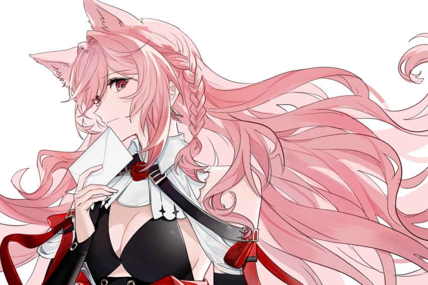 1girl, animal_ears, arknights, bare_shoulders, black_bra, bra, braid, breasts