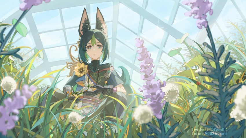 1boy, 57friend, absurdres, animal_ear_fluff, animal_ears, aqua_eyes, black_hair, bug