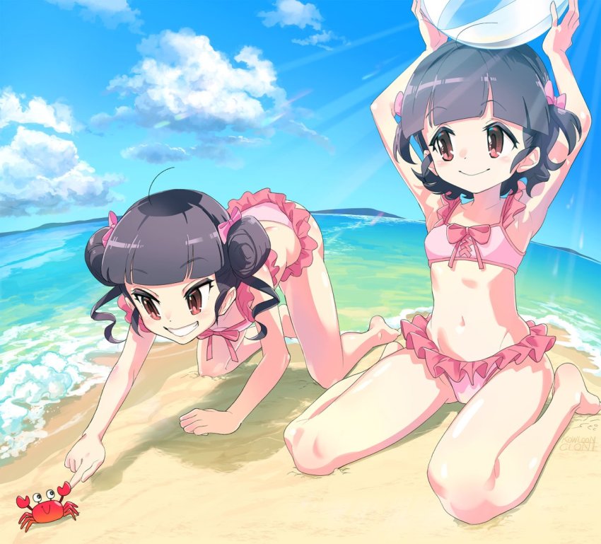 2girls, bikini, blue_sky, camekan-tan, chignon, crab, horizon, multiple_girls, pasokan-tan, pink_bikini, sky, swimsuit
