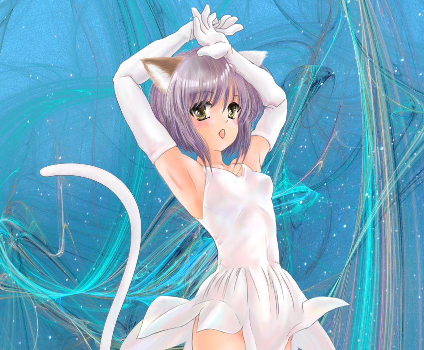 acuo, animal_ears, armpits, arms_up, brown_eyes, cat_ears, cat_tail, dress