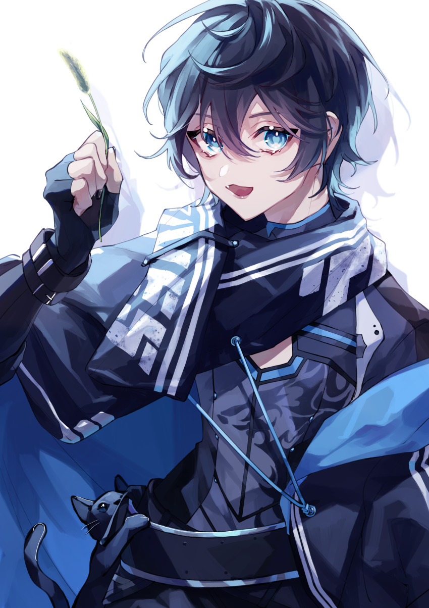1boy, absurdres, axia_krone, black_cat, black_hair, blue_eyes, cape, cat