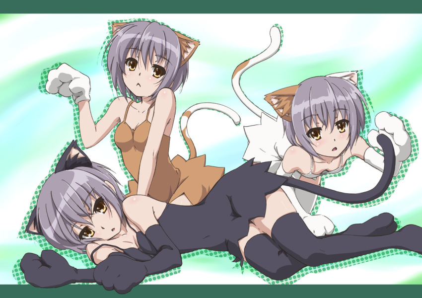 1girl, :<, acuo, animal_ears, brown_eyes, cat_ears, cat_tail, downblouse, dress, elbow_gloves, errant, flat_chest, gloves, grey_hair, kemonomimi_mode, legs, multiple_persona, multiple_views, nagato_yuki, paw_pose, short_hair, suzumiya_haruhi_no_yuuutsu, tail, thighhighs, zettai_ryouiki