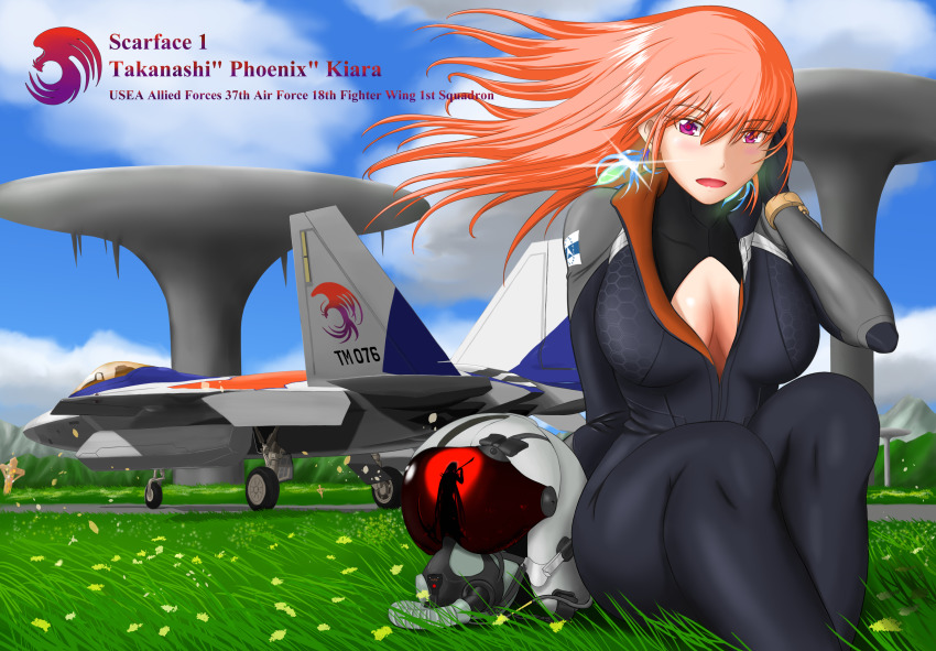 2girls, absurdres, ace_combat, ace_combat_2, aircraft, airplane, bird, breasts, character_name, cleavage, cloud, cloudy_sky, commentary_request, day, earrings, english_text, f-22_raptor, feather_earrings, feathers, fighter_jet, grass, helmet, highres, hololive, hololive_english, jewelry, large_breasts, long_hair, military, military_vehicle, mori_calliope, multiple_girls, name_connection, object_namesake, on_ground, open_mouth, orange_hair, phoenix, pilot_helmet, pilot_suit, purple_eyes, scarface_1, sccmembt, silhouette, sky, takanashi_kiara, trait_connection, virtual_youtuber
