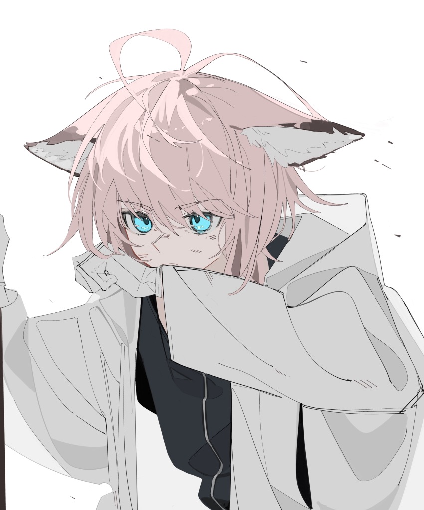 1girl, absurdres, animal_ears, antenna_hair, arknights, black_shirt, blue_eyes, brown_hair, dirty, dirty_face, fox_ears, fox_girl, gloves, highres, jacket, lihuashuangxiang, long_sleeves, open_clothes, open_jacket, shirt, short_hair, simple_background, solo, sussurro_(arknights), upper_body, white_background, white_gloves, white_jacket, wiping_mouth