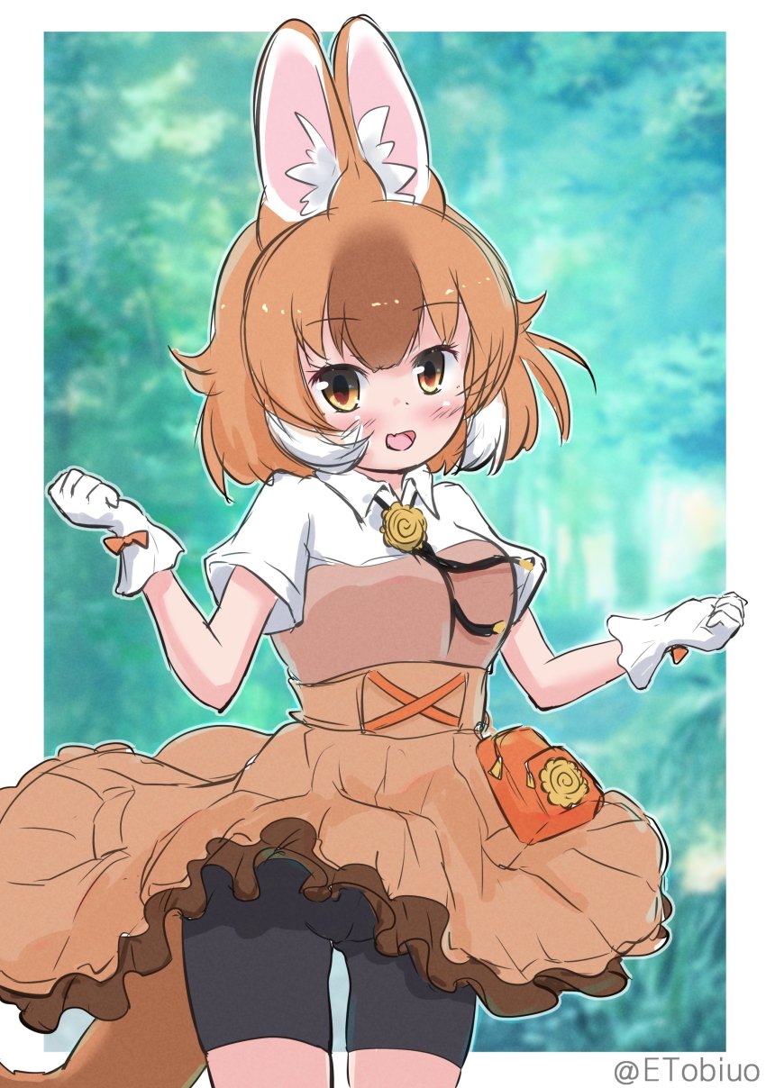 1girl, absurdres, animal_ears, bike_shorts, breasts, brown_hair, collared_shirt, dhole_(kemono_friends)