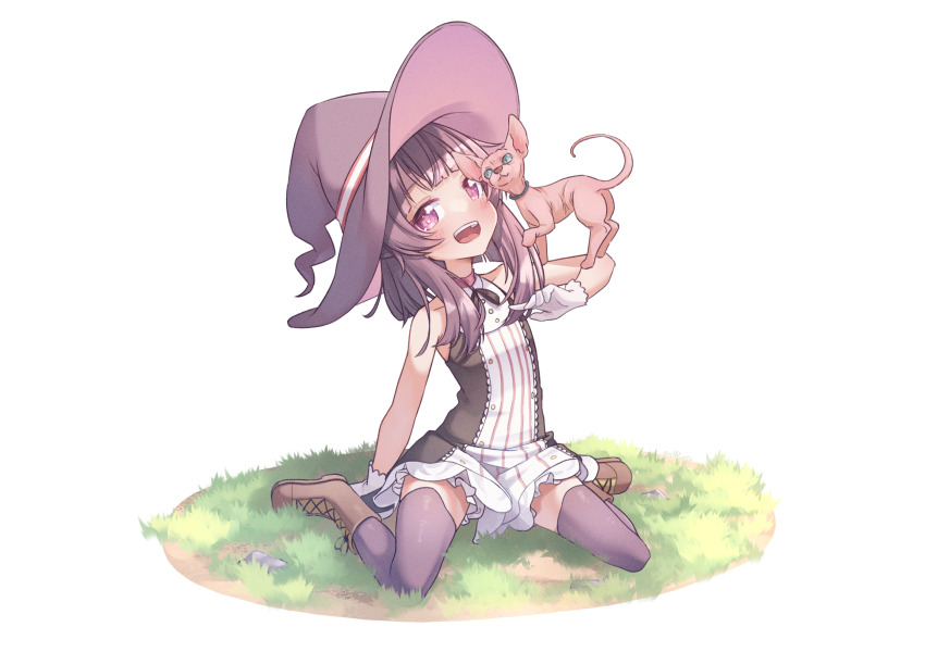 1girl, black_ribbon, boots, brown_boots, cat, commentary, cosplay, dress, english_commentary, fallenshadow, gloves, grass, hairless_cat, hat, head_tilt, highres, indie_virtual_youtuber, kiirokuma, little_witch_nobeta, looking_at_viewer, medium_hair, neck_ribbon, nobeta, nobeta_(cosplay), open_mouth, outdoors, purple_eyes, purple_hair, purple_hat, purple_thighhighs, ribbon, sidelocks, sitting, sleeveless, sleeveless_dress, smile, solo, thighhighs, virtual_youtuber, wariza, white_gloves, witch_hat