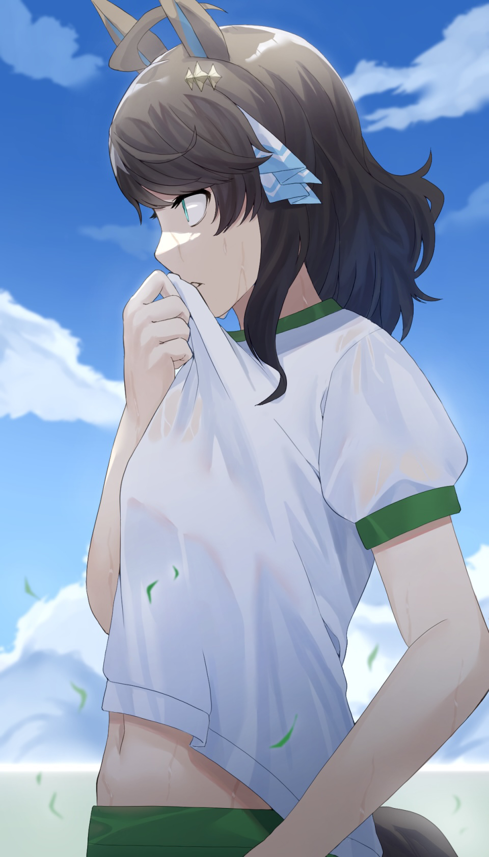 1girl, ahoge, animal_ears, blue_eyes, blue_sky, brown_hair, clothes_lift, cloud