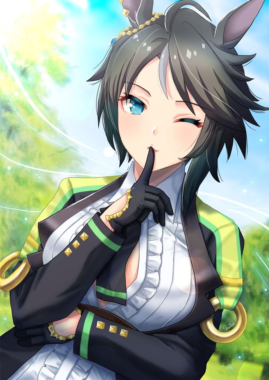 1girl, ahoge, animal_ears, arm_under_breasts, black_gloves, black_hair, blue_eyes, blue_sky