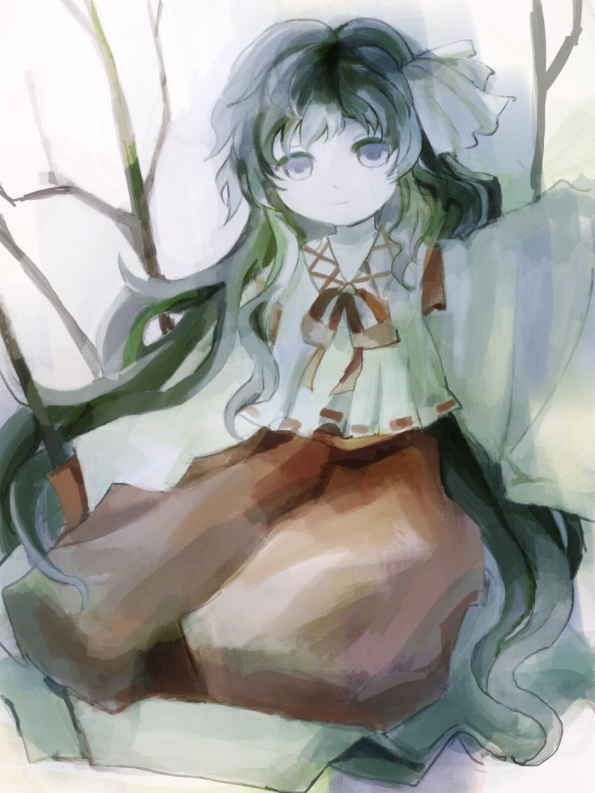 1girl, closed_mouth, collared_shirt, commentary_request, girl_who_trained_on_mt._haku_(touhou), green_hair, grey_eyes, hair_ribbon