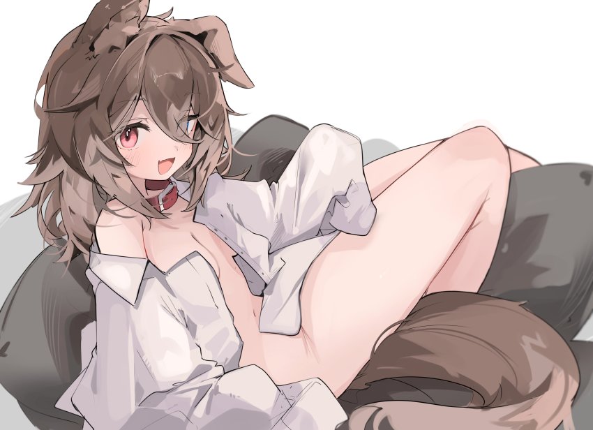 1girl, :d, absurdres, animal_collar, animal_ears, blue_eyes, breasts, brown_hair, collar, collared_shirt, commission, dog_ears, dog_girl, dog_tail, fang, hasuki_rui, heterochromia, highres, indie_virtual_youtuber, long_sleeves, looking_at_viewer, medium_hair, mikozin, naked_shirt, off_shoulder, open_clothes, open_mouth, open_shirt, oversized_clothes, red_eyes, shirt, skeb_commission, skin_fang, sleeves_past_fingers, sleeves_past_wrists, small_breasts, smile, tail, virtual_youtuber, white_shirt