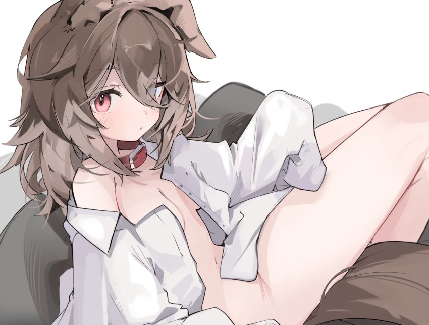1girl, animal_collar, animal_ears, blue_eyes, breasts, brown_hair, collar, commission, dog_ears, dog_girl, dog_tail, expressionless, hasuki_rui, heterochromia, indie_virtual_youtuber, long_sleeves, looking_at_viewer, medium_hair, mikozin, naked_shirt, off_shoulder, open_clothes, open_shirt, parted_lips, red_eyes, shirt, skeb_commission, sleeves_past_fingers, sleeves_past_wrists, small_breasts, tail, virtual_youtuber, white_shirt