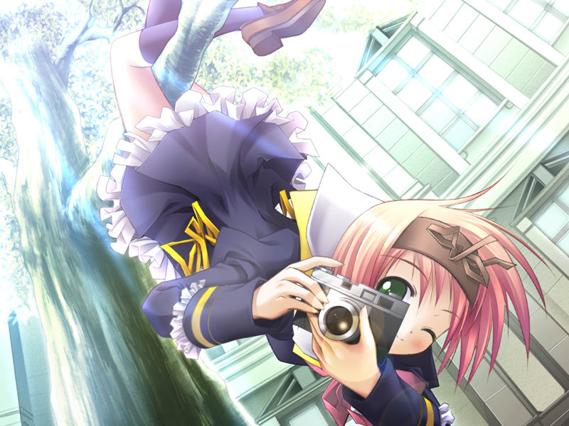 1girl, camera, female_focus, game_cg, in_tree, moon_childe, one_eye_closed, saeki_kurumi