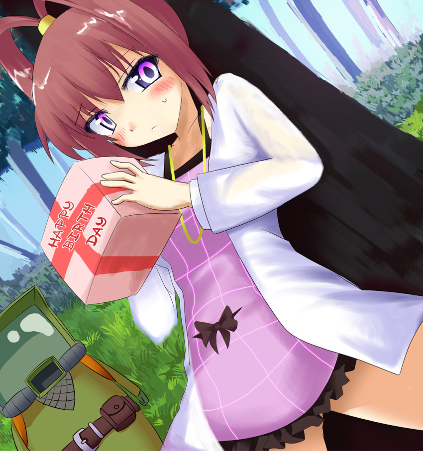 1girl, amano_nene_(digimon_xros_wars), belt, blush, digimon, gift, happy_birthday, highres