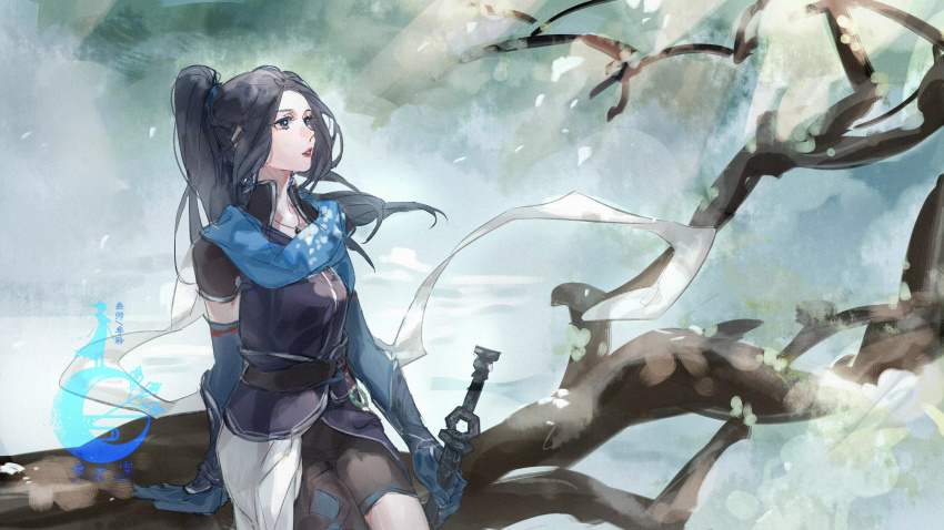 1girl, absurdres, artist_request, asymmetrical_legwear, black_hair, blue_eyes, branch, detached_sleeves