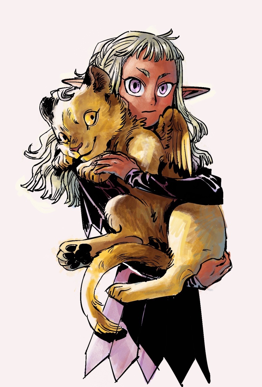 1boy, 2639939368, animal, dark_elf, dungeon_meshi, elf, grey_hair, highres, holding, holding_animal, long_hair, looking_at_viewer, pointy_ears, purple_eyes, purple_tunic, thistle_(dungeon_meshi), tunic, winged_lion_(dungeon_meshi), yellow_eyes