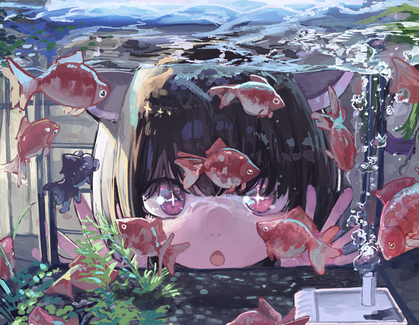 +_+, 1girl, against_glass, air_bubble, animal, brown_hair, bubble, eyebrows_hidden_by_hair, fish, fish_tank, goldfish, hands_up, microa, open_mouth, pink_eyes, short_hair, telescope_goldfish, touhoku_kiritan, voiceroid, water