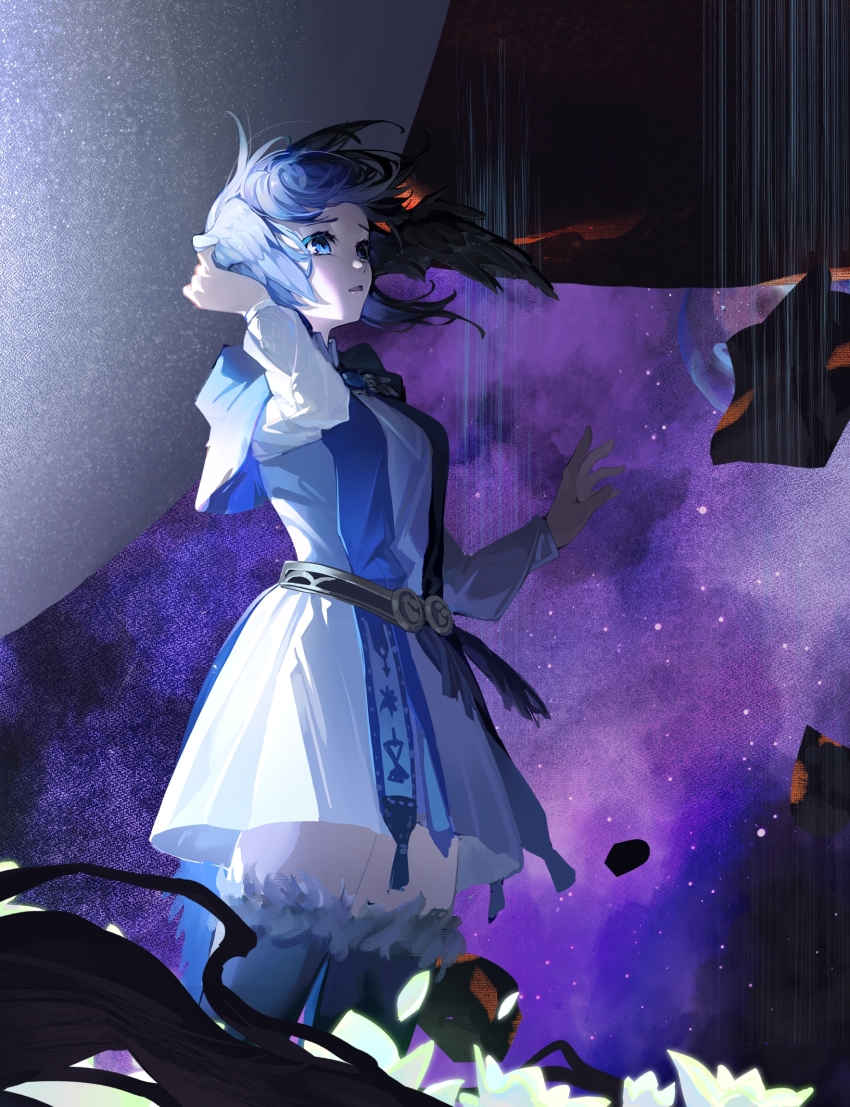 1girl, bird_girl, bird_tail, bird_wings, black_hair, blue_capelet, blue_eyes, blue_hair