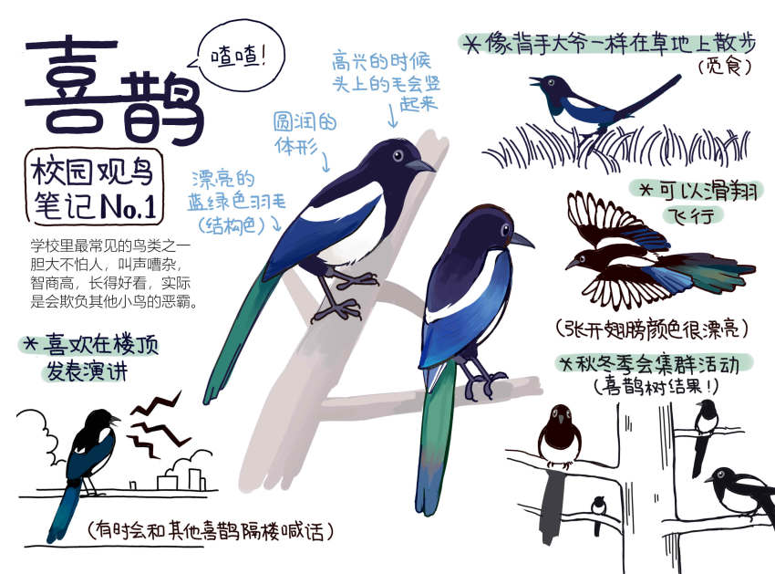 animal, animal_focus, bird, chinese_commentary, chinese_text, closed_mouth, commentary_request, flying