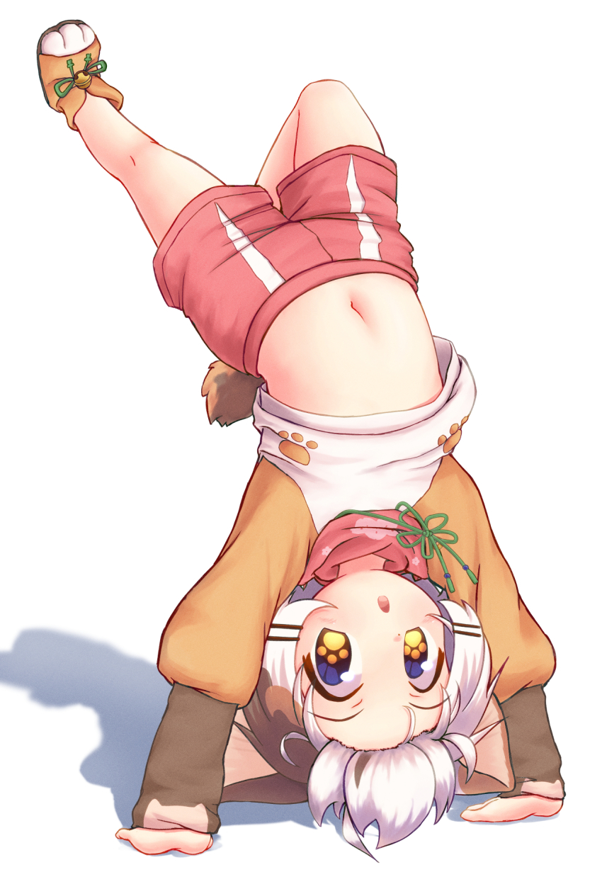 1boy, animal_ears, belly, brown_hair, calico_(pattern), cat_boy, cat_ears, child, commentary_request, full_body, giuniu-yo1021, handstand, highres, indie_virtual_youtuber, looking_at_viewer, male_focus, multicolored_hair, navel, open_mouth, orange_hair, paw-shaped_pupils, sandals, shirt, short_hair, shorts, simple_background, solo, stomach, symbol-shaped_pupils, tail, tatamaru_(vtuber), upside-down, virtual_youtuber, white_hair