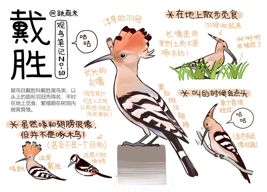 animal, animal_focus, bird, black_eyes, chinese_commentary, chinese_text, closed_mouth, commentary