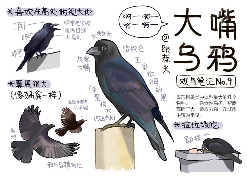 animal, animal_focus, bird, black_eyes, chinese_commentary, chinese_text, closed_mouth, commentary