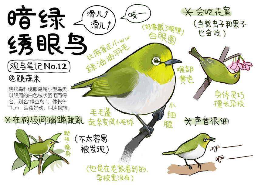 animal, animal_focus, bird, chinese_commentary, chinese_text, closed_mouth, commentary_request, flower