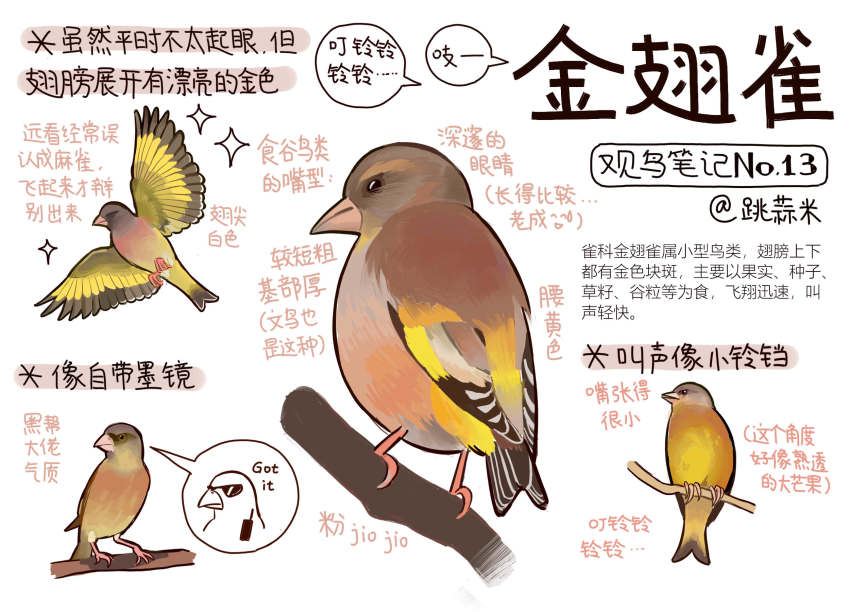 animal, animal_focus, bird, black_eyes, chinese_commentary, chinese_text, closed_mouth, commentary