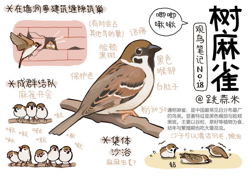 animal, animal_focus, baby_animal, bird, black_eyes, brick_wall, chick, chinese_commentary