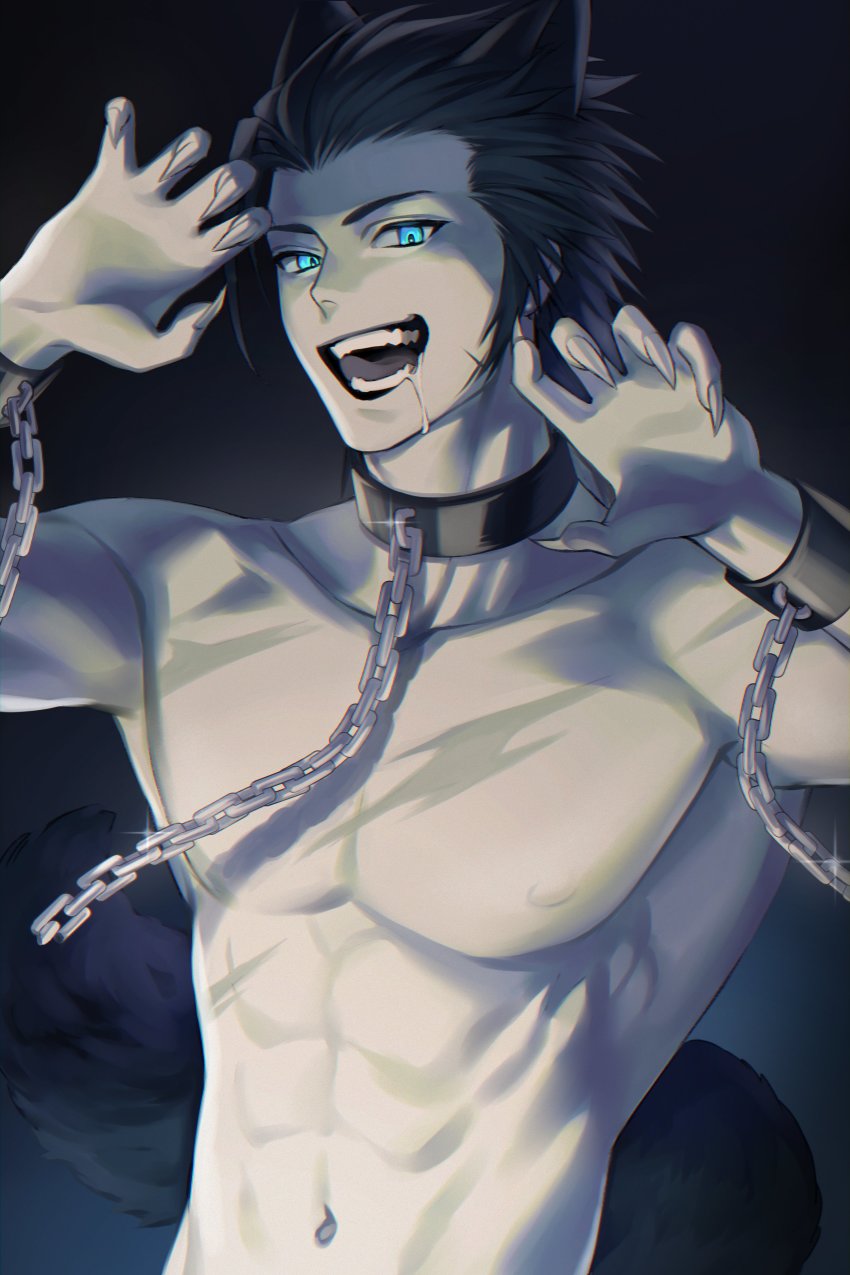 1boy, abs, absurdres, animal_collar, animal_ears, black_hair, blue_eyes, chain