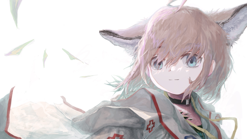 1girl, absurdres, ahoge, animal_ear_fluff, animal_ears, arknights, blue_eyes, blue_shirt, brown_hair, closed_mouth, commentary_request, fura_wari, hair_between_eyes, highres, jacket, looking_at_viewer, material_growth, oripathy_lesion_(arknights), shirt, smile, solo, sussurro_(arknights), upper_body, white_background, white_jacket, wind