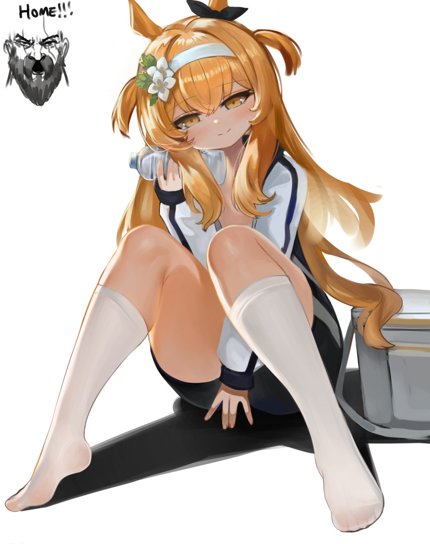 1boy, 1girl, animal_ears, between_legs, black_jacket, black_ribbon, black_shorts, blue_archive