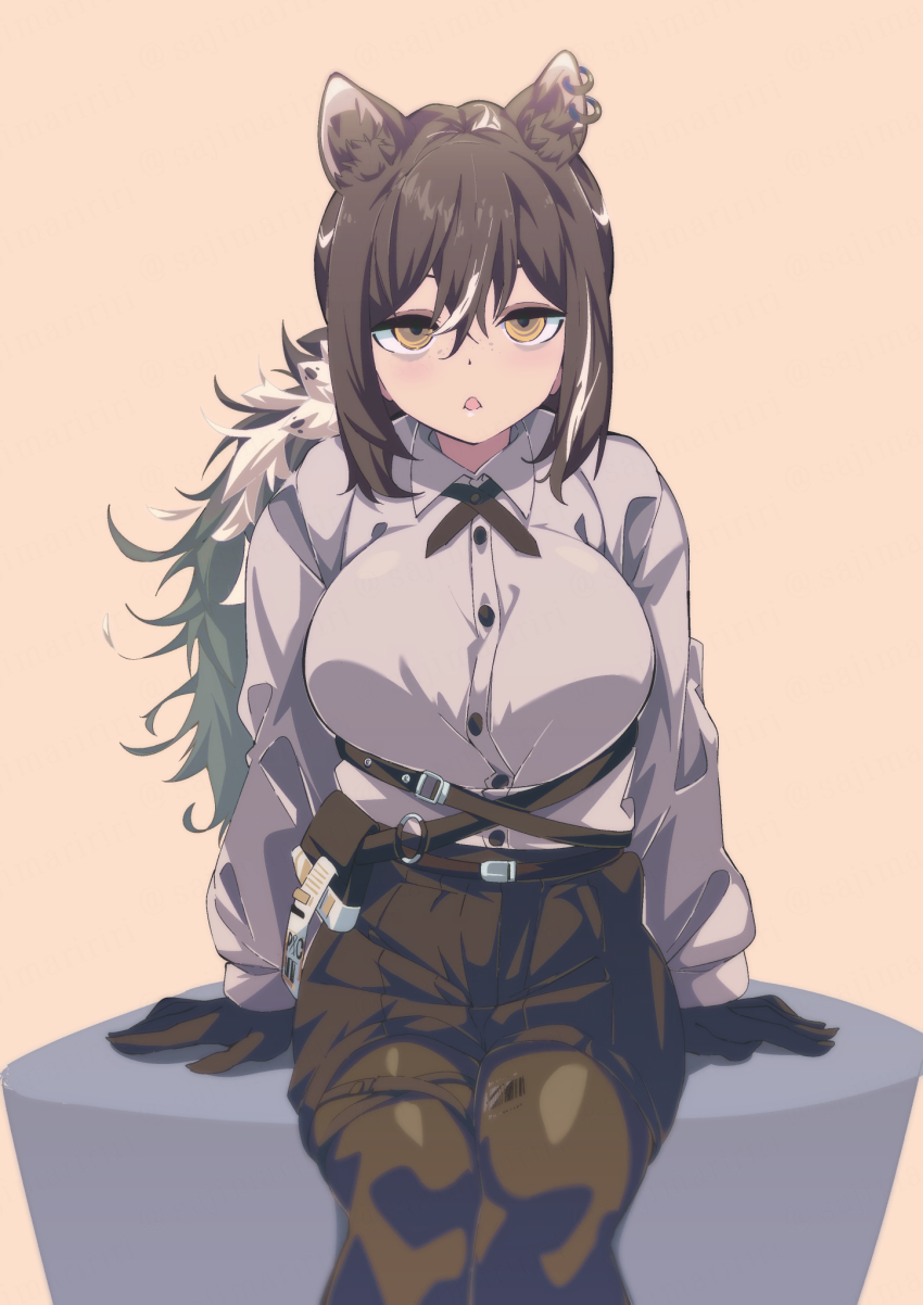 1girl, animal_ears, animal_hands, arknights, black_necktie, black_pantyhose, black_shorts, breasts, brown_background, brown_hair, collared_shirt, cross_tie, hair_between_eyes, highres, large_breasts, long_sleeves, multicolored_hair, necktie, pantyhose, pantyhose_under_shorts, ponytail, raccoon_ears, raccoon_girl, robin_(arknights), sajimaririri, shirt, shorts, sidelocks, simple_background, solo, streaked_hair, triangle_mouth, yellow_eyes