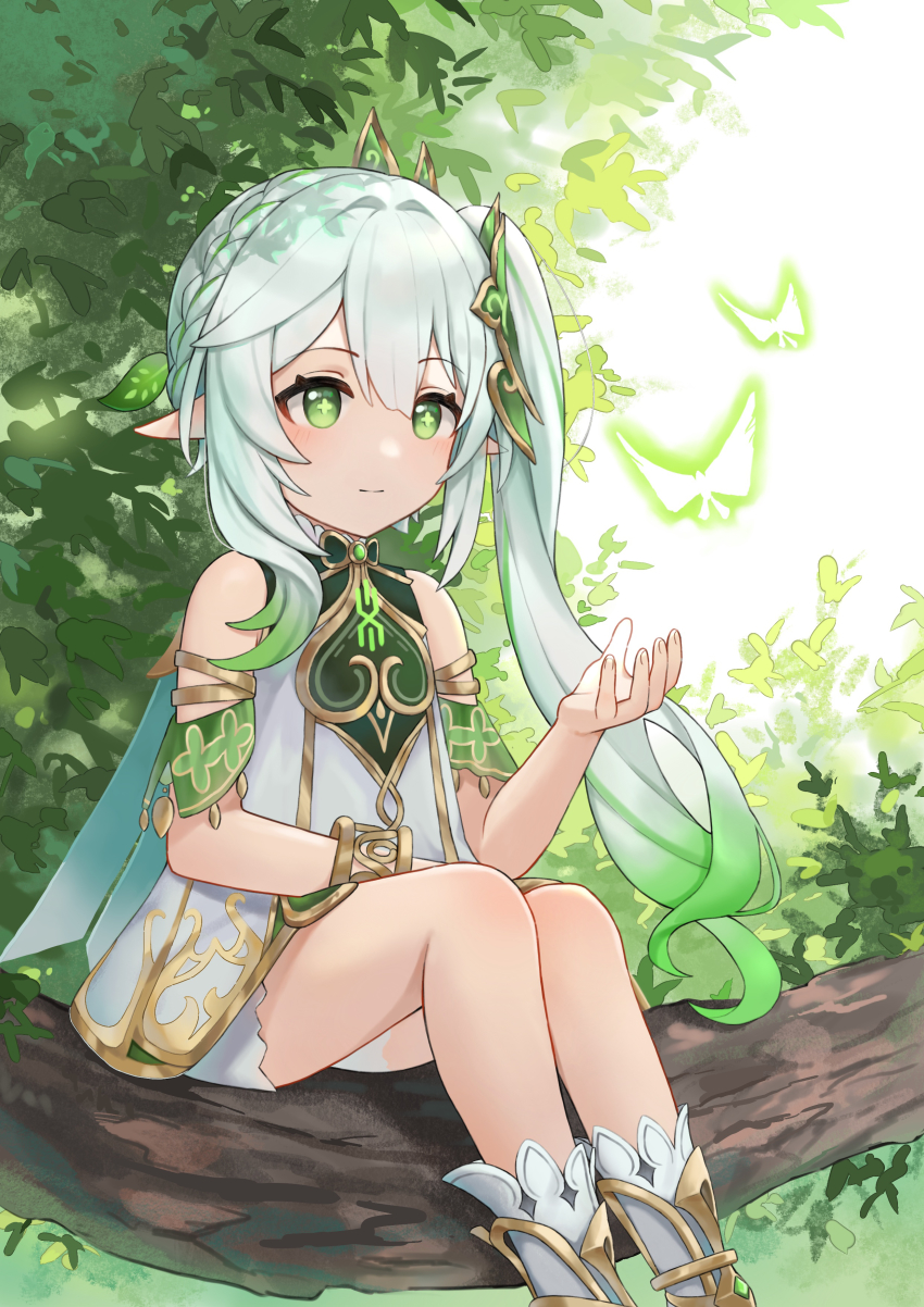 1girl, absurdres, blurry, bracelet, braid, bug, butterfly, cape