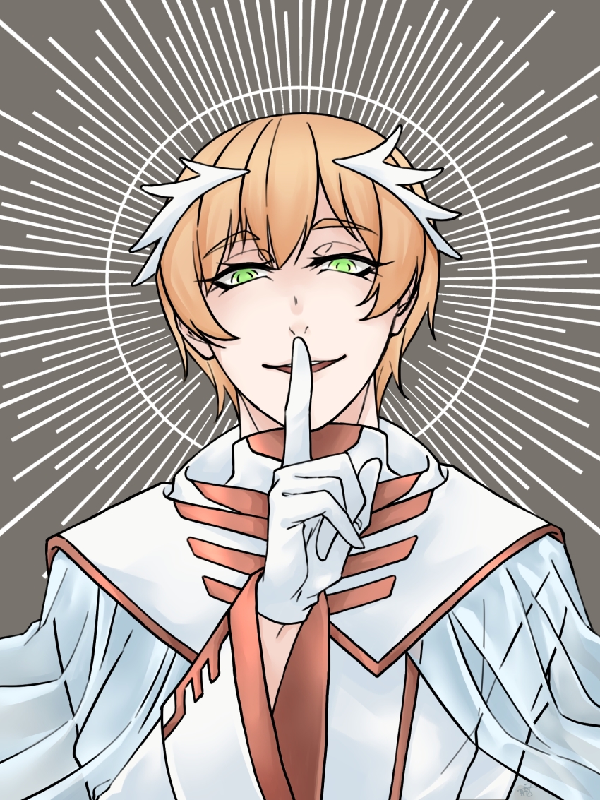 1boy, coat, crown, finger_to_mouth, gloves, green_eyes, grey_background, gunther_(rosen_garten_saga)