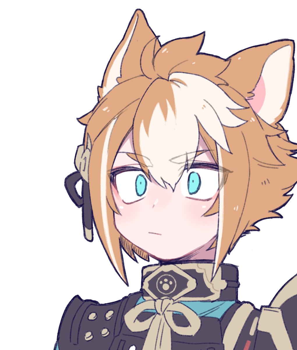 1boy, animal_ears, aqua_eyes, armor, brown_hair, closed_mouth, dog_boy, dog_ears