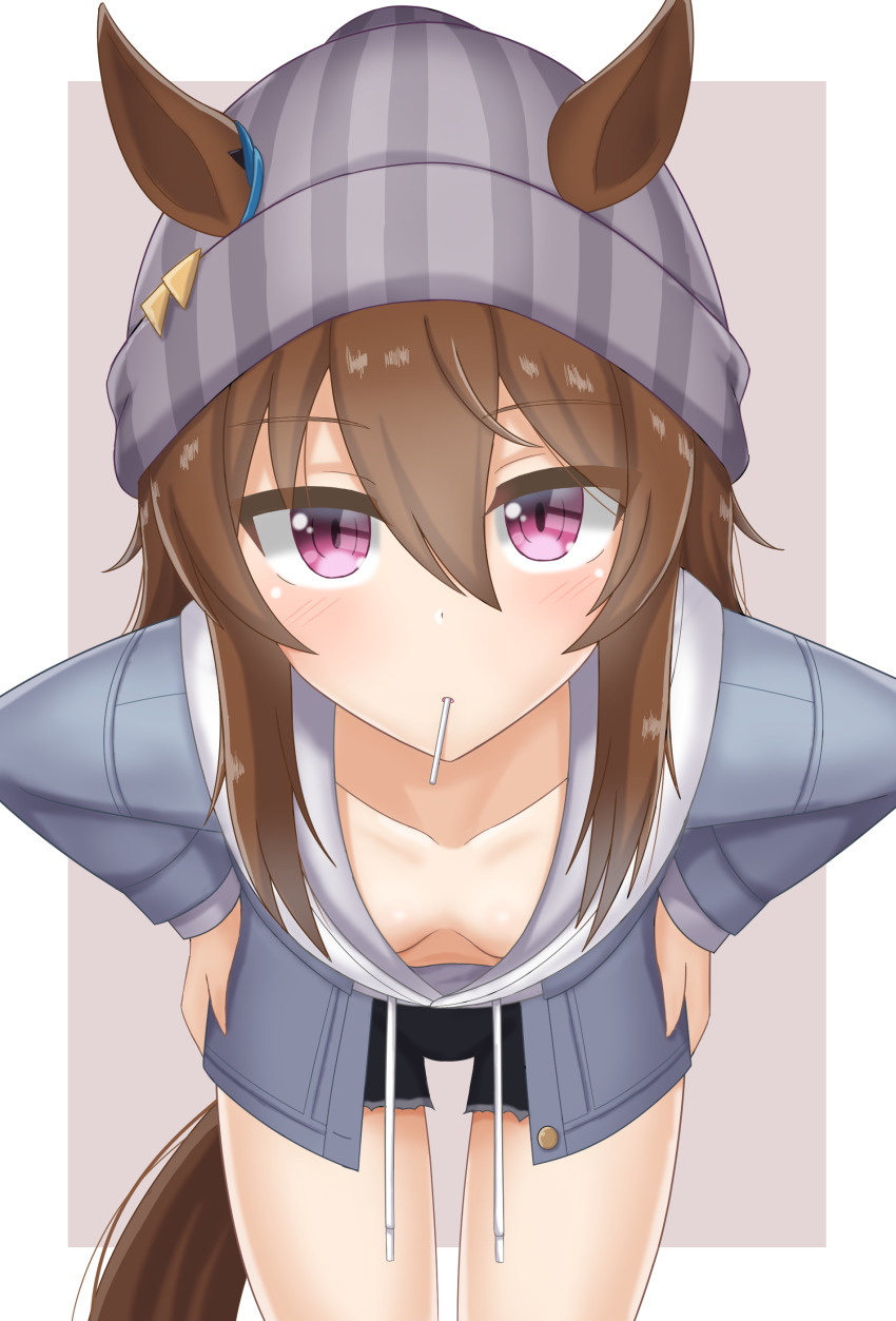 1girl, absurdres, animal_ears, beanie, blush, breasts, brown_hair, candy, clueless, downblouse, extended_downblouse, food, food_in_mouth, hands_on_own_hips, hat, highres, horse_ears, horse_girl, horse_tail, katsuragi_b_k, leaning_forward, lollipop, long_hair, looking_at_viewer, nakayama_festa_(umamusume), no_bra, parted_lips, pink_eyes, shorts, small_breasts, solo, standing, tail, textless_version, umamusume