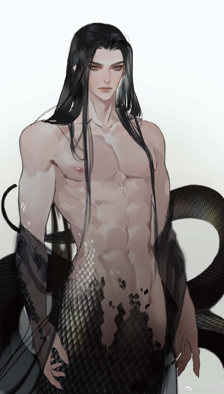 1boy, artist_name, bishounen, black_hair, black_scales, black_shawl, bloodybeni, closed_mouth, fingernails, grey_background, grey_eyes, highres, lamia_boy, long_hair, looking_at_viewer, male_focus, monster_boy, nude, original, pointy_ears, see-through_clothes, see-through_shawl, sharp_fingernails, shawl, simple_background, snake_boy, solo, toned, toned_male, upper_body, watermark, weibo_watermark