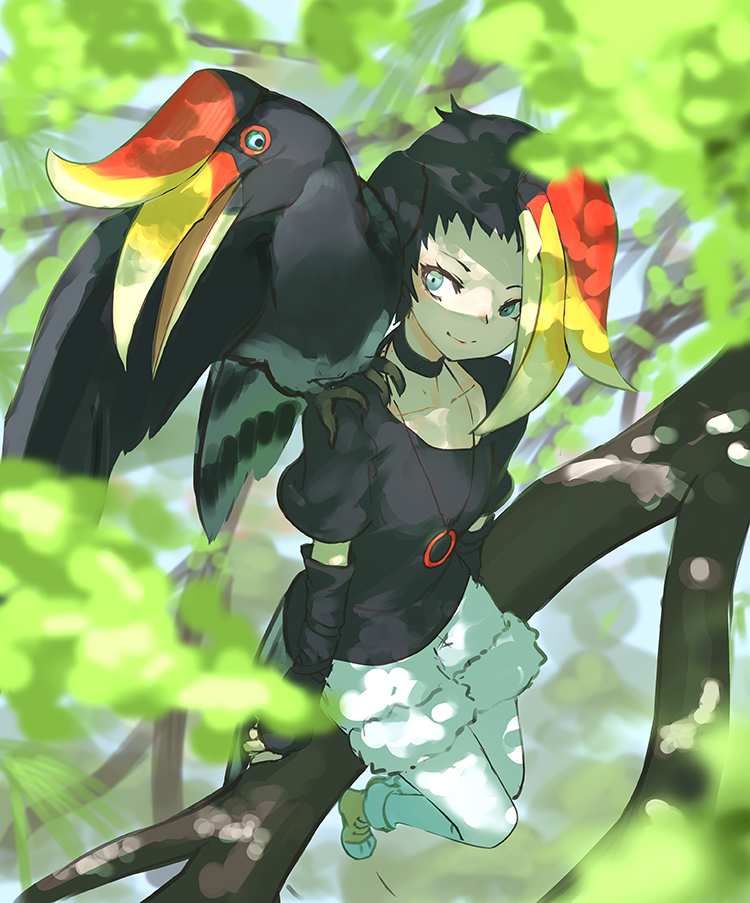 1girl, animal, animal_on_shoulder, bird, bird_girl, bird_on_shoulder, bird_tail, bird_wings