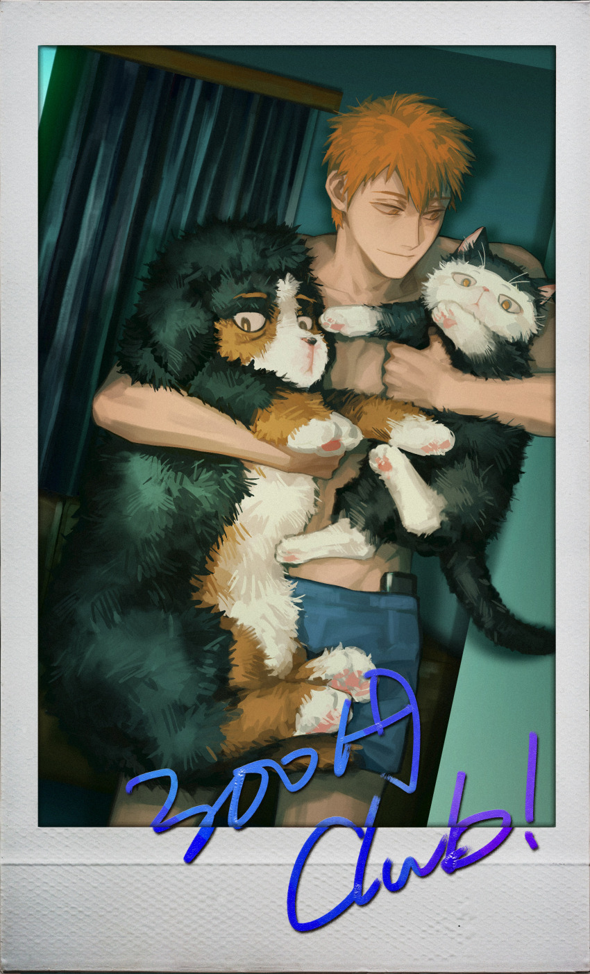 1boy, absurdres, animal, blue_shorts, boxers, cat, chino1048, closed_mouth