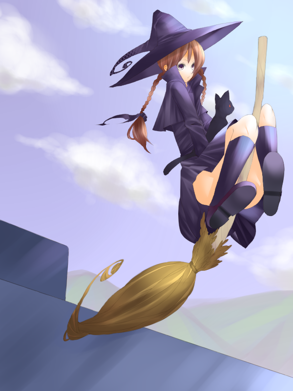 black_cat, braid, broom, broom_riding, cat, flying, hat, madotsuki