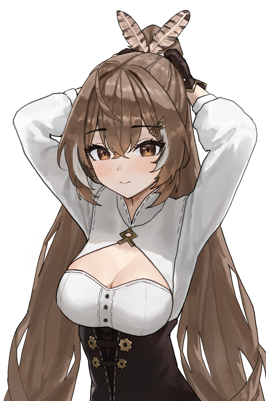 1girl, absurdres, ahoge, arch_05x, breasts, brown_corset, brown_eyes, brown_hair