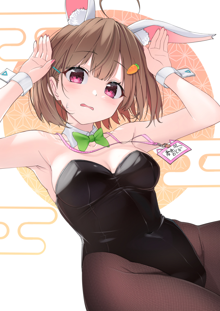 1girl, alternate_costume, armpits, blush, breasts, brown_hair, carrot_hair_ornament, cleavage, food-themed_hair_ornament, hair_ornament, hairclip, harusaki_nodoka, highres, hololive, id_card, looking_at_viewer, medium_breasts, medium_hair, motoraku, new_year, open_mouth, pantyhose, playboy_bunny, purple_eyes, rabbit_pose, simple_background, solo, virtual_youtuber, white_background