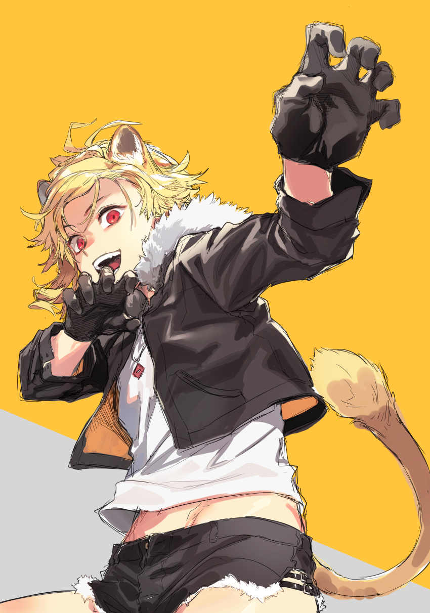 1girl, :d, absurdres, animal_ears, black_gloves, black_jacket, black_shorts, blonde_hair
